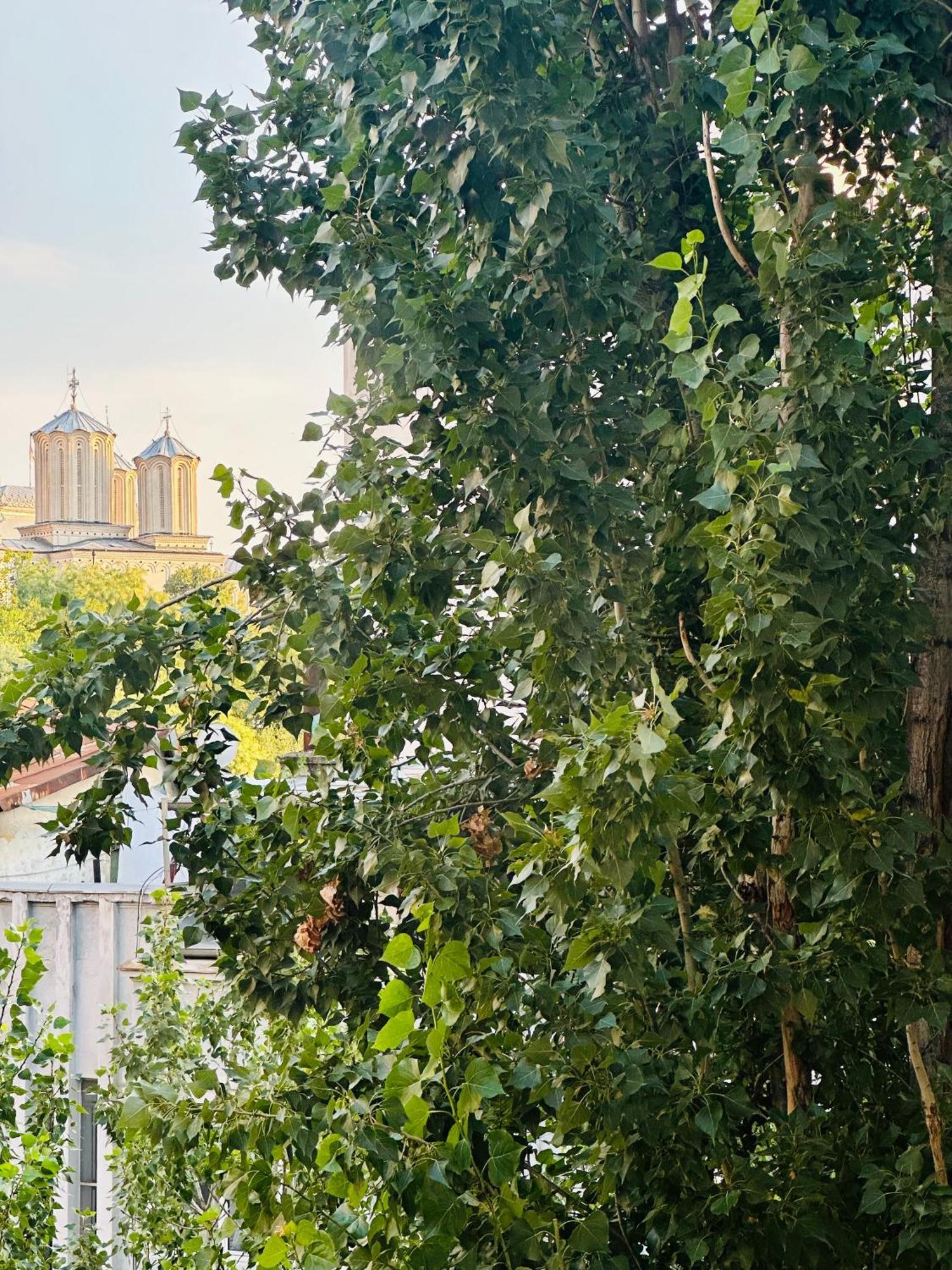 Tranquil Unirii Residence - Elegant & Spacious Living With Parking Steps From Parliament Bucureşti Ngoại thất bức ảnh