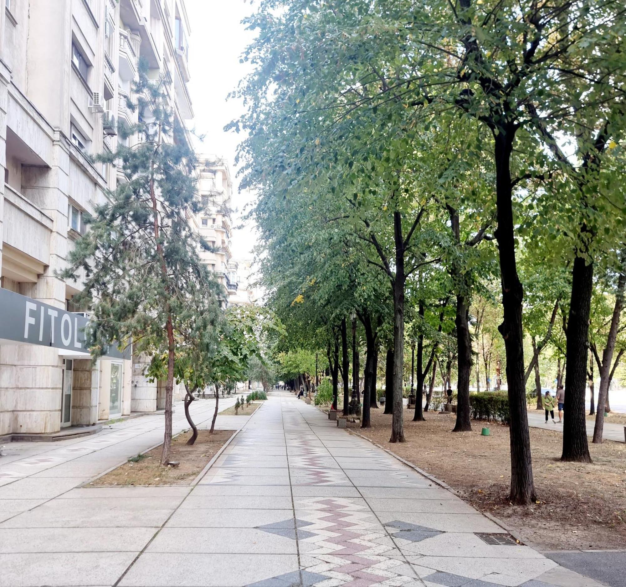 Tranquil Unirii Residence - Elegant & Spacious Living With Parking Steps From Parliament Bucureşti Ngoại thất bức ảnh