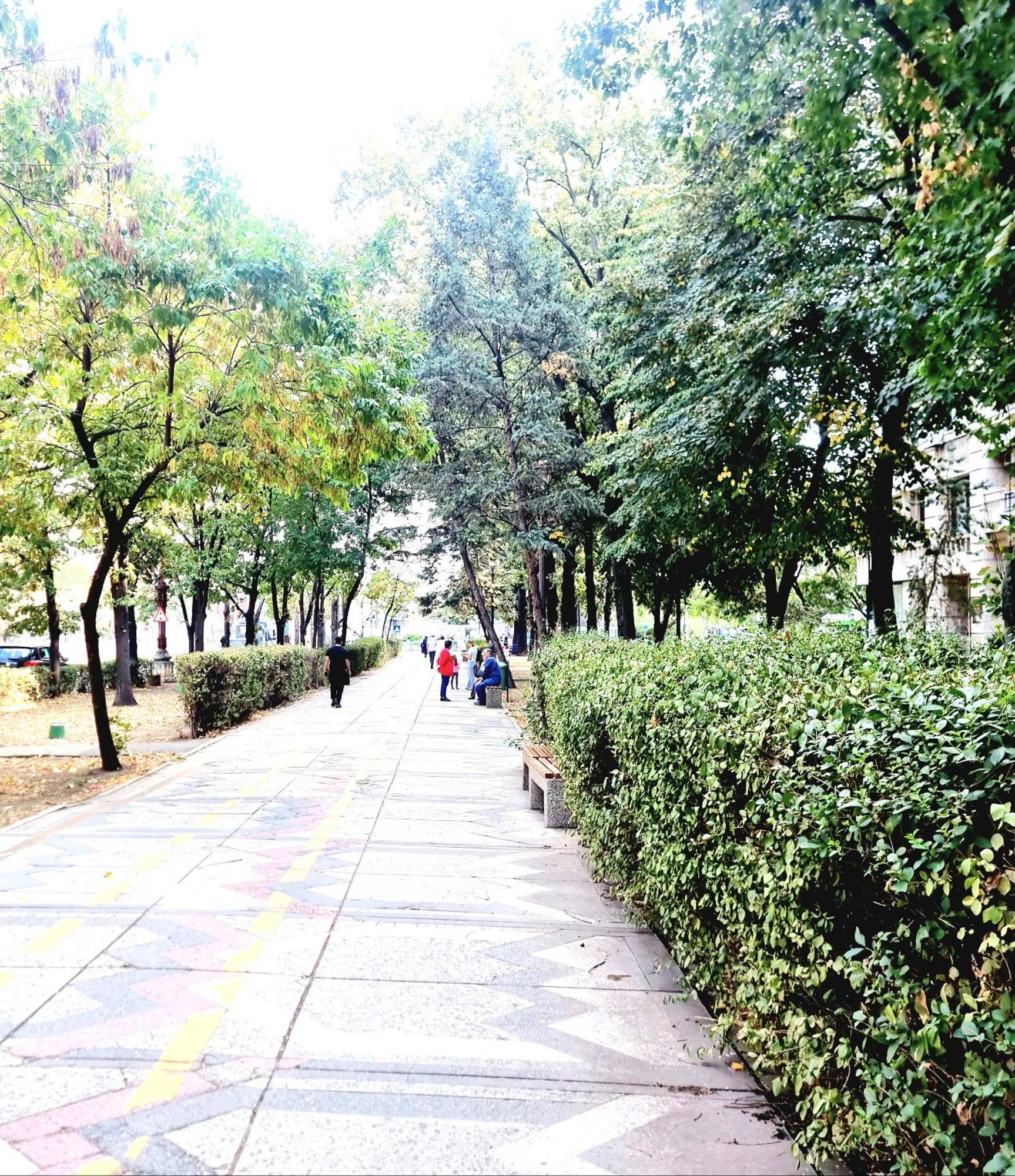 Tranquil Unirii Residence - Elegant & Spacious Living With Parking Steps From Parliament Bucureşti Ngoại thất bức ảnh